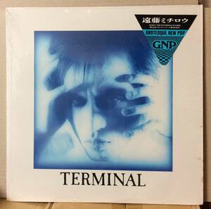 盤良好 遠藤ミチロウ Terminal LP ステッカー帯、シュリンク付 EDPS スターリン 名作