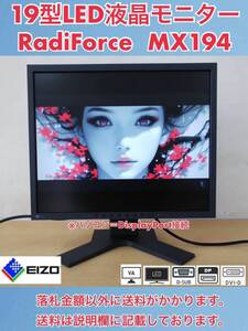 美品 EIZO RadiForce 19型LED液晶モニター MX194 使用時間715時間 DisplayPort・DVI-D・D-Sub 2021年製 中古動作品/B