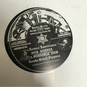 Roots Hitek Players 10inch Jah Shaka 希少 激渋