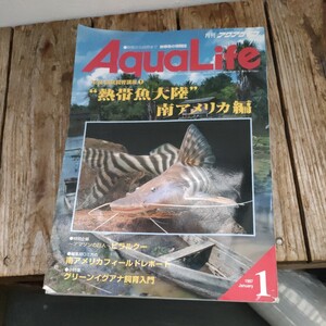 ☆月刊 アクアライフ　AQUA LIFE　1997年1月号　No.210☆