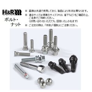 H＆R スリーブ付ボルト (20本) M14×1.5 首下51mm 19HEX カイエン/トゥアレグホイール用　1455107