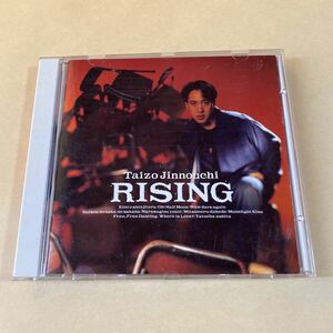 陣内大蔵 1CD「RISING」