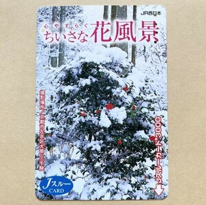 【使用済】 花Jスルーカード JR西日本 ちいさな花風景 京都市左京区大原・三千院