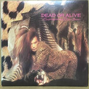 LP US盤 DEAD OR ALIVE / SOPHISTICATED BOOM BOOM