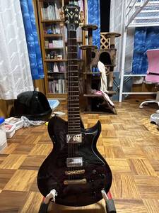 Washburn WI-64DL多数改造品