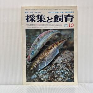 採集と飼育 1976年10月号★イトヨのオスとメス/栃木県の教材生物/ハナカマキリ/海浜植物生態写真/生物の知識・観察と実験/動植物