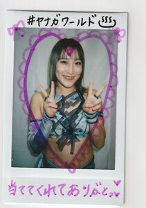 BBM2023女子プロレス　10枚限定直筆サイン生チェキ　柳川澄樺 即決　ルーキー