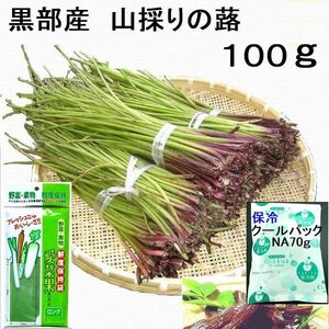 【発送中！】名水の里黒部 天然 山蕗 ふき フキ 新鮮パック＆保冷パックで発送　100g