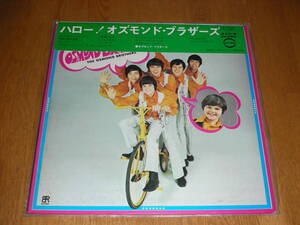 一体型帯◆ハロー・オズモンド・ブラザーズ　THE OSMOND BROTHERS