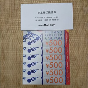 ホットランド 株主優待 3000円分