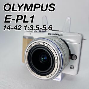 オリンパス　ミラーレス一眼　デジカメ　E-PL1 レンズキット　OLYMPUS 中古　安い　初心者　おすすめ　やさしい　