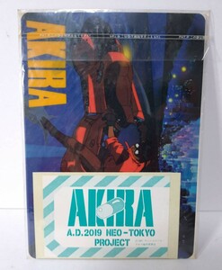 11155r▲未開封 保管品▲【AKIRA アキラ】「テレカ テレホンカード」2枚 シール付▲縦18cm横13cm送60▲漫画 オリジナル ホログラム