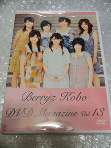 ★即決DVD Berryz工房 1年365日分コメント動画カレンダー 嗣永桃子 菅谷梨沙子 熊井友理奈 夏焼雅 清水佐紀 徳永千奈美 須藤茉麻 ハロプロ