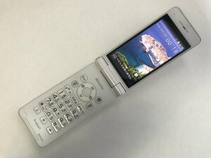 GK300 docomo P-01J 判定〇 ジャンク