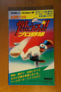 本 ゲーム攻略本 ファミコン 必勝完ペキ本 燃えろ プロ野球 ファミリーコンピューター 徳間書店