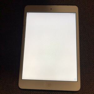 iPad mini Wi Fi