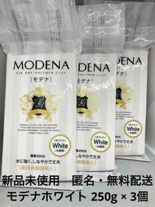 【新品】パジコ モデナ ホワイト 最高級樹脂粘土 250g ×3個