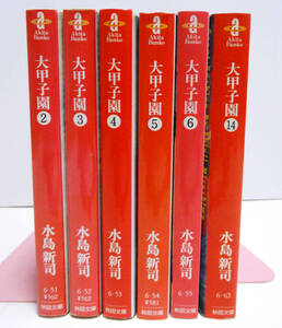 【6冊】　大甲子園　水島新司 文庫版＜2、3，4，5，6，14巻＞