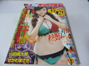 月刊ヤングマガジン2012年No.9　DVD未開封67分　杉原杏璃、芹那、佐山彩香、手島優、吉木りさ、　ほか