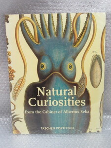 洋書/Natural Curiosities from the Cabinet of Albertus Seba/TASCHEN PORTFOLIO タッシェン/未開封