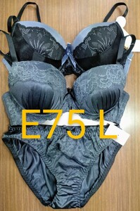 ブラジャー E75 ショーツL 2枚セット