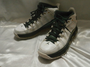 激レアAIR JORDAN Take Flight 28cm USED品