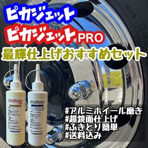 匿名配送！ピカジェット&ピカジェットPRO 当店最輝仕上げセット