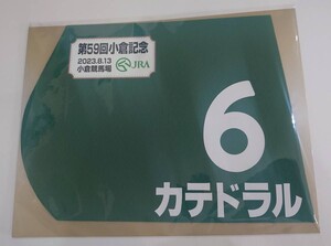 カテドラル 2023年小倉記念 ミニゼッケン 未開封新品 団野大成騎手 池添学 キャロットファーム