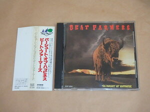 The Pursuit Of Happiness　/　The Beat Farmers（ビート・ファーマーズ）/　CD　/　帯付き