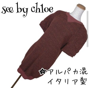 イタリア製 アルパカ混 SEE BY CHLOE ニットワンピース 茶 S～M モヘア ウール 古着 