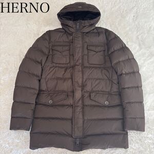 HERNO ヘルノ　POLAR-TECH ウォーターレペレントナイロンダウンジャケット　48 M-65 Lサイズ　ロング　フードPI0191U-12004-8800 