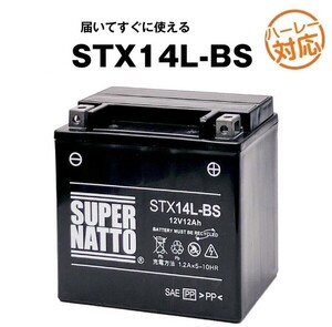 《送料無料》平日最短翌日発送！☆【STX14L-BS シールド型】XR1200対応！ハーレーバッテリー【65958-04A 互換】スーパーナット(液入済)日