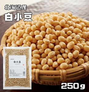 白小豆 250g 豆力 北海道産 白あずき 希少豆 しろ小豆 国産 国内産 乾燥豆 豆類 和風食材 生豆 限定品