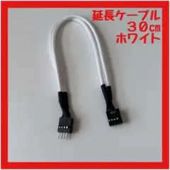 ⭐️1点⭐️Cable Mod 内蔵USB延長ケーブル ホワイト30cm