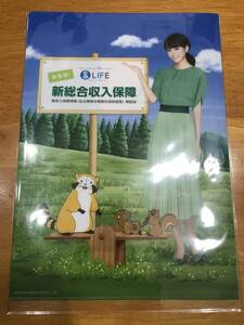 クリアファイル　☆　雑貨グッズ　非売品　懐かしい　桐谷美玲　アライグマ　１枚　三井住友海上　文房具用品　書類整理