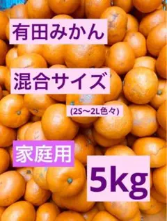 有田みかん　混合サイズ　5kg 家庭用