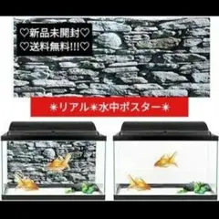 【訳あり】水中ポスター 水中バックグラウンドPVC素材 防水(61*30cm)