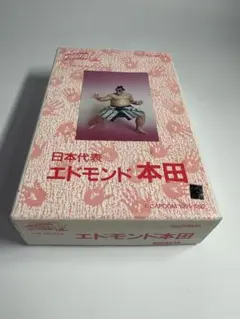 ムサシヤ　カプコン　ストリートファイターII エドモンド本田　ガレージキット