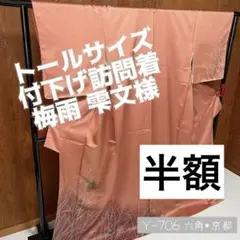 半額 トールサイズ 付下げ 訪問着 雫 梅雨文様 正絹 裄68.5 Y706