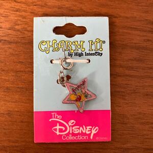 Disneyチャーム くまのプーさん ☆ charm it プー&ピグレット フレンズ　