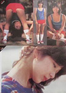 伊藤蘭 高見知佳 1981年 切り抜き 8ページ