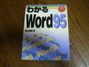 ★激安★即決★希少★中古本★わかるWord95★Windows95★秀和システム★樋口展康★1996年★送料２３０円★