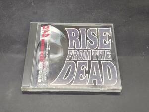 O-16　Rise From The Dead / rock fan dead セルフィッシュ 帯付き