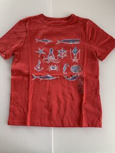 ■ＧＡＰ■新品■120■ギャップ■Ｔシャツ■サメ、タコ、クジラ、ヒトデ、タツノオトシゴ■赤■USA■32■2-1