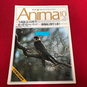 Ac-295/Anima アニマ 1992年10月号No.241 平凡社発行 特集:今西錦司の自然学 秋の渡り鳥ウォッチング 動物園は野生を救う 他/L1/7020