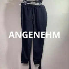 【番4570】　ANGENEHM ナイロンパンツ　メンズM ブラック