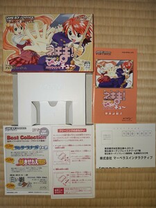 【外箱・説明書・内箱・ハガキ・チラシのみ】送料無料 即買 GBA 魔法先生ネギま!プライベートレッスン2 お邪魔しますぅ パラサイトでチュ～