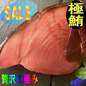 食通が唸る極上品「中トロ・天身 1509g」 脂の乗りはホボ大トロ極上黒(本)マグロ