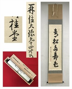 【千寿】大徳寺派 瑞峯院 桂堂紹昌 青松多寿色 紙本 d184◆箱/茶道具/古美術/時代品/掛軸/100016951