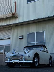 AUSTIN HEALEY SPRITE MK-1. オースチン　ヒレー　スプライト 書類付き　